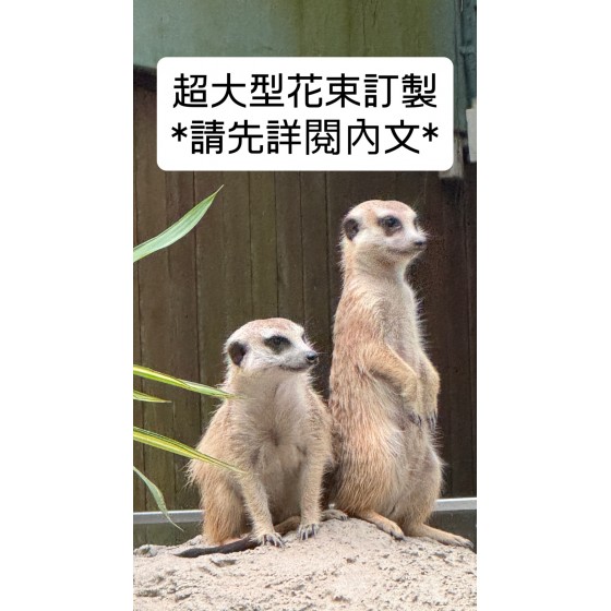 訂製超大型花束(60~70公分)