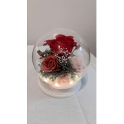 星光永生花盅-拍拍紅寶石 星光永生花盅-拍拍紅寶石